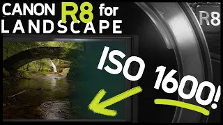 Canon R8:  Good budget landscape kit?  (I broke it...)