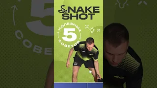 5 советов по выполнению snake shot 🐍🏓 #настольныйтеннис #пингпонг #обучение #уроки #трюки #советы