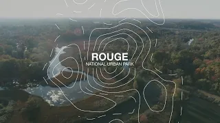 Discover Rouge National Urban Park - an Urban Escape