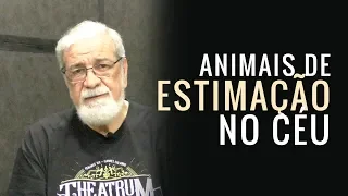 Encontraremos nossos animais de estimação no céu? - Augustus Nicodemus #091