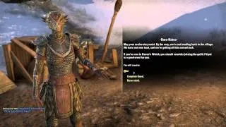 Elder Scrolls Online Let's Play with Phroak Part 11