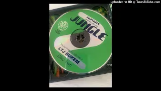 LTJ Bukem - Fantazia Takes You Into The Jungle - 1994 (CD2)