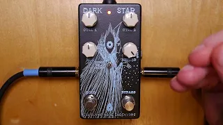 Old Blood Noise Endeavors Dark Star Reverb Demo