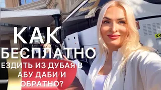 Как бесплатно ездить из Дубая в Абу Даби и обратно? Инструкция для туристов☀️🌴✈️