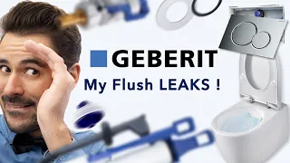 How to repair my geberit flush ? (wall-hung wc) | LINSTAN