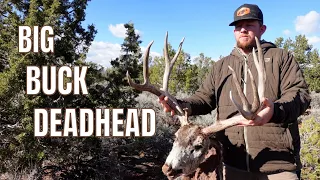 SHED HUNTING 2024 | BIG BUCK DEADHEAD