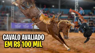 Os Cavalos mais PULADORES do Rodeio de ALTO ALEGRE