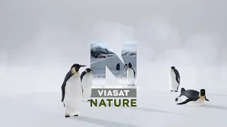 Viasat Nature arculat 2021. február - március