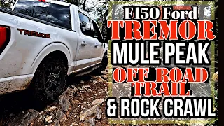 Aggressive Moderate Rated Trail Vs F150 Ford Tremor