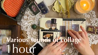 ASMR【1 hour】Various sounds of collage, Sleeping time, Relaxing sounds, illustration artwork, paper