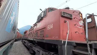 Maquinista Conduzindo Trem de Contêineres pelo Ramal das Fábricas.