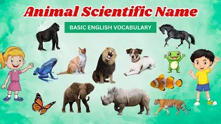 Animals Scientific Names - Scientific Names Of 10 Animals - Scientific Names Of Common Animals