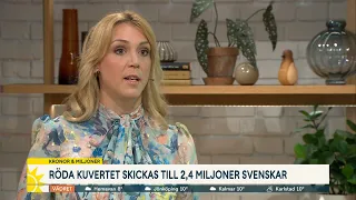 Så maxar du din tjänstepension - "Ta inte för låg risk"  - Nyhetsmorgon (TV4)