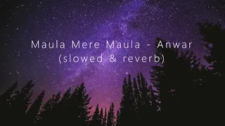 Maula Mere Maula - Anwar (slowed & reverb)