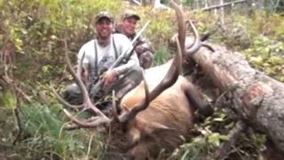 BIG BULL ELK DOWN FIRST DAY - Stuck N the Rut 37