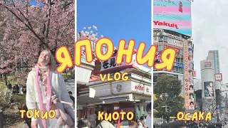 влог из Японии: Токио, Киото, Осака, Нара