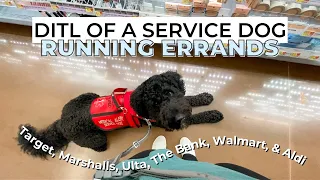 DAY IN THE LIFE OF A SERVICE DOG RUNNING ERRANDS | my service dog goes shopping with me!
