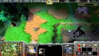 Warcraft III - Petit Massacre en Famille FAIL