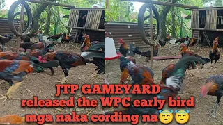 JTP GAMEYARD RELEASED THE WPC EARLY BIRD