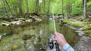 Wild TROUT Fishing with Spinners DEEP in the Mountains