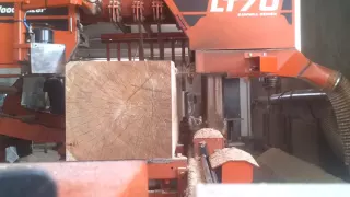 Распиловка кедра на Wood Mizer LT 70 remote