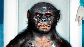 Az új vakcina okosabbá tette a majmot az embernél, és ő ezt ki is használta!