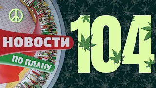 В мире исчезла вся конопля. Крысы съели полтонны каннабиса. Луи Армстронг наш. Новости по плану №104