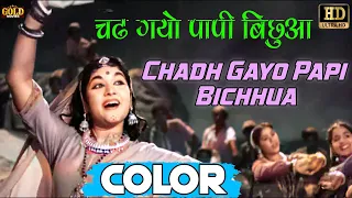 चढ गयो पापी / Chadh Gayo Papi (COLOR) HD - Manna Dey, Lata Mangeshkar | Dilip Kumar, Vyjayanthimala.