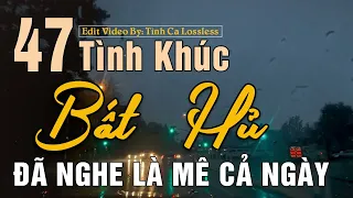 47 Tình Khúc Nhạc Xưa Hải Ngoại ĐẲNG CẤP MỌI THỜI ĐẠI ➤ Dòng Nhạc Tình Ca Để Đời - Thay Lời Muốn Nói