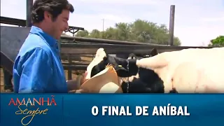 Amanhã é Para Sempre - O Final de Aníbal