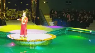 Цирк на воде! Владивосток! Часть 2