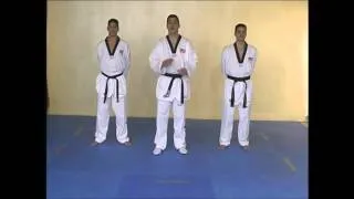 Taekwondo WTF. Техника ударов ногами.