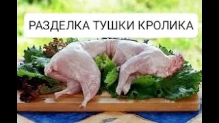 РАЗДЕЛКА КРОЛИКА ДЛЯ КОРМЛЕНИЯ СОБАК И КОШЕК