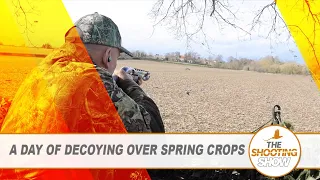 The Shooting Show - Decoying over spring rape, stalking fallow PLUS rabbiting with an air rifle