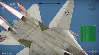 War Thunder: Unlocked Aim-54A Phoenix F-14