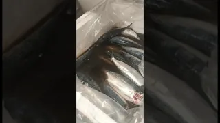 Srilankan/Indian Fish in Vancouver/Canada🇨🇦