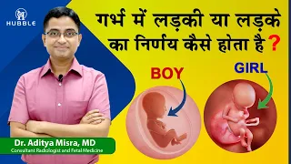 गर्भ में लड़की या लड़के का निर्णय कैसे होता है  || chromosome
