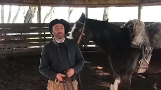 #Domadores de Caballos Cria Polo Argentino “Técnicas y Tiempos en la doma” Fabricio Garcia