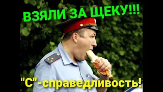 ИДПС ОБЛОМАЛИСЬ! Верховный суд "разрулил всё по честноку".  БРАВО СУДЬЯ Щепалов С.В.