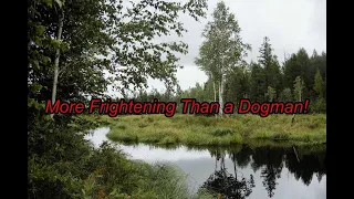 More Frightening Than a Dogman! - Dogman Encounters Episode 445