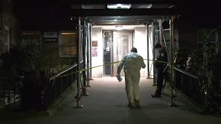 Man found fatally shot in head in NYCHA building stairwell in Brooklyn