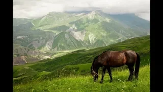 Юрий Богатиков - Лишь одна