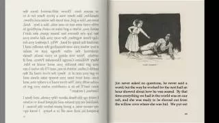 Adventures of Huckleberry Finn by Mark Twain -  AudioBook Chapter 11 - 15