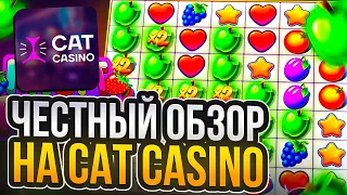 🎮 ИГРОВАЯ ПЛАТФОРМА КОТОРАЯ УДИВЛЯЕТ - Отзыв о Cat Casino | Казино Онлайн Cat | Кэт Казино Фриспины