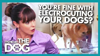 Dogs Scared to Enter Their Own Home Due to Electric doormat | It's Me or the Dog