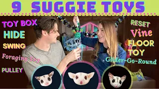 9 TOYS EVERY Sugar Glider NEEDS | What the different types of toys are called
