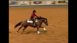 Master Snapper   2006 NRHA Derby Open Go Round