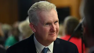 Future Made in Australia ‘needed’ to ‘turn around productivity’: Tony Burke