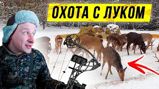 ОХОТА с луком на оленя. Блочный ЛУК Mathews VXR 28. Открытие сезона охоты