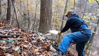 S1 EP11 | WOODWORK | TIMBER FRAME BASICS | FELLING LAST TREES FOR THE CABIN